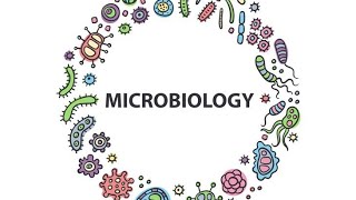 EnterobacterSerratiaKlebsiellaMicrobiology PathologyMBBS [upl. by Llerrod]