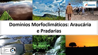 Domínios Morfoclimáticos Araucárias e Pradarias  Videoaula [upl. by Atisusej695]