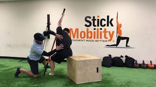 QL Stretch For Low Back Tightness  Stick Mobility Exercise [upl. by Onaicilef708]