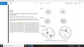 Dientamoeba fragilis شرح [upl. by Desdamonna]