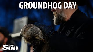 Groundhog Day Punxsutawney Phil predicts an early spring [upl. by Devol62]