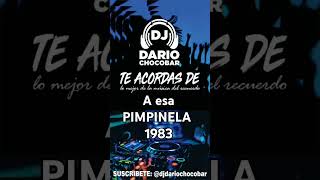 A esa  Pimpinela  1983 LO MEJOR DE LA MÚSICA DEL RECUERDO pimpinela 2024 music musica dj mix [upl. by Bilicki]