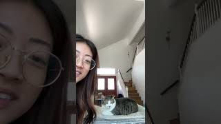 Dermatology allergist follow up appointment PART 1 catmomlife sickcat catlife catlover [upl. by Swithbart]