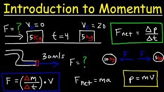 Introduction to Momentum Force Newtons Second Law Conservation of Linear Momentum Physics [upl. by Eselehs218]