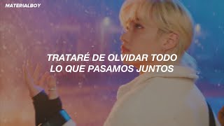 Stray Kids  Winter Falls  MV Sub Español [upl. by Shalom]