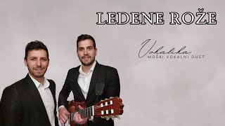 Ledene rože v živo Duet Vokalika  pogrebno petje [upl. by Clementius]