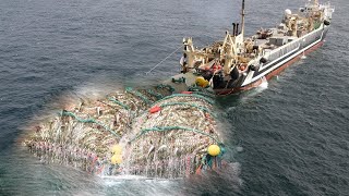 Life on the Most Advanced Deep Sea Fishing Vessel  Unbelievable Hundreds of tons of fish are caught [upl. by Codee]