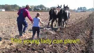 Plow Day Goldsboro North Carolina [upl. by Karame]