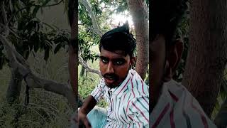 Gopi Kishan movies dialogue short video [upl. by Coppola842]