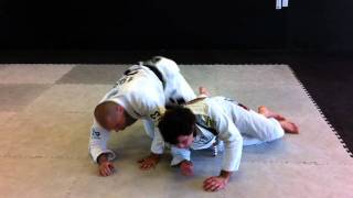 Rodrigo Pinheiro and Xande Ribeiro BJJ Technique [upl. by Leva]