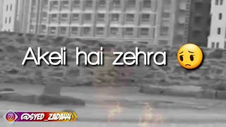 Noha  akeli hai zehra SA  Zainab Batool  Whats app status 2019 HD [upl. by Arahsak414]