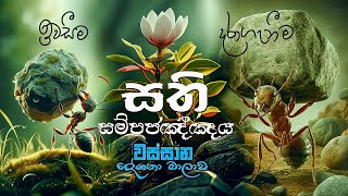 පට්ඨාන දේශනා 04  සහනදායී ජීවිතයකට │Ven Dalugama Samithagnana Thero │Buddhist Cultural Center [upl. by Areic49]