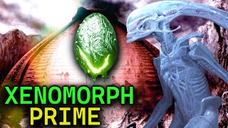 Xenomorph Prime Explored  Alien Homeworld [upl. by Rialc]