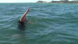 Survive Man Overboard  Boat Safety in NZ Maritime New Zealand [upl. by Vite]