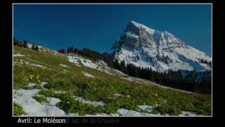 Pays de Fribourg au fil des saisons [upl. by Nasya417]