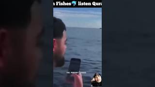 Quran recitation At Sea  Fishes Reaction  shorts [upl. by Lybis]