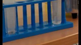 Effect of temperature on a chemical reaction [upl. by Kahn359]