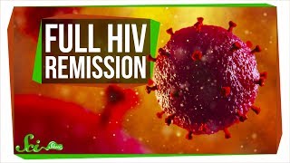 The SecondEver Case of Full HIV Remission  SciShow News [upl. by Corell]