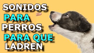 Sonido de Perro 🐶 🐶 Los mejores LADRIDOS DE PERROS 🐶 [upl. by Llesirg]