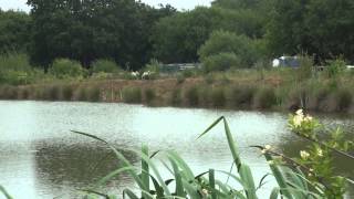 MOUSEHOLE LAKES NETTLESTEAD PADDOCK WOOD KENT ANGLERS MAIL TACTICAL BRIEFINGS [upl. by Ahseekal]