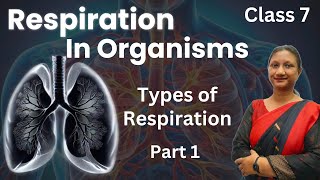 Class 7 Science Chapter 6  Respiration In Organisms  Ncert  Part 1 [upl. by Nivek]