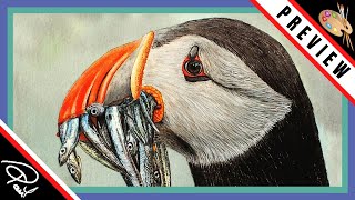 Watercolour Painting for Beginners  Paint a Puffin [upl. by Sass]