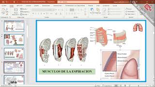 ESPIROMETRIA FISIOLOGIA PRACTICA [upl. by Mendive]