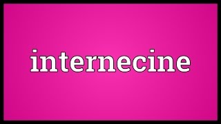 Internecine Meaning [upl. by Ingmar]