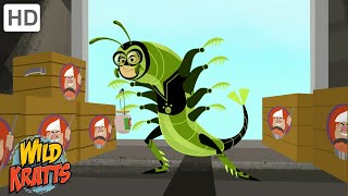 Brine Shrimp Power to the Rescue  Wild Kratts [upl. by Eidob305]