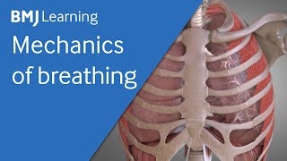 Basics of ventilation Mechanics of breathing  BMJ Learning [upl. by Suzanne]