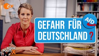 Wie gefährlich ist die AfD  Inside PolitiX [upl. by Edvard672]