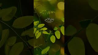 Ayatul kursi surah🫀Beautiful recitation of Quran lovequrankarim shorts alkarimalrahim [upl. by Ranjiv189]