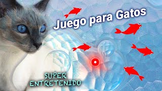 JUEGOS PARA GATOS  Atrapar peces y laser de gatitos en pantalla VIDEOS MICHI TV  Entretenimiento [upl. by Burnett]