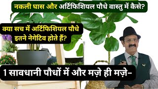 Vastu Shastra पौधे Vastu Plants in Home Vastu Tips for Plants Vastu Tips for Indoor Plants Vastu [upl. by Raskind84]