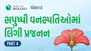 Part 4 સપુષ્પી વનસ્પતિઓમાં લિંગી પ્રજનન  Sexual Reproduction Inflowering Pants  Std 12 Science [upl. by Sucramd625]