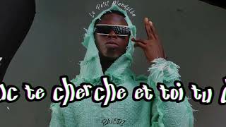 Le Petit Mandelha  BWÉDI  Lyrics vidéo Prod by marlichbeats44 [upl. by Enner881]