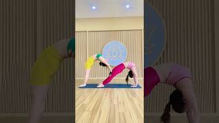 yogawithsoni yoga viral trending viralvideo yogachallenge morningyoga backbend [upl. by Trbor]