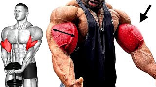 Improve Bigger Biceps Gain Workout  Efective [upl. by Esyli]