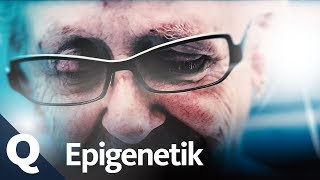 Epigenetik Neue Hoffnung für Krebs Patienten  Quarks [upl. by Larena]