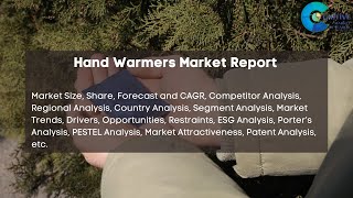 Hand Warmers Market Report 2024  Forecast Market Size amp Growth [upl. by Eniamahs466]