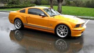 2008 Grabber Orange Ford Shelby GT Walkaround [upl. by Haukom]