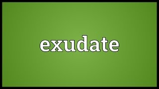 Exudate Meaning [upl. by Llecrad]