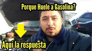 Sabes Porque Tu Auto Huele A Gasolina AQUÍ La Respuesta [upl. by Lasyrc]