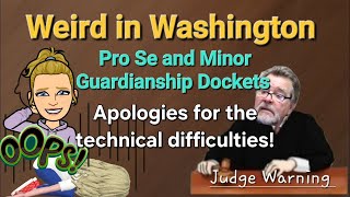 Weird Washington  Pro Se  Guardianship  Judge Warning [upl. by Tenneb]