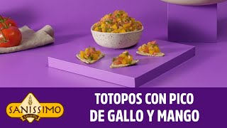 Totopos con Pico de Gallo y Mango Saníssimo [upl. by Mandeville150]