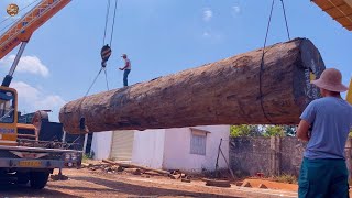 La Mayor Fábrica De Procesamiento De Madera Peligrosa Fabrica Mesas De Madera Gigantes Para Comedor [upl. by Helmer]