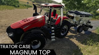 Case Magnum Trator Bruto  FS19 MODS [upl. by Hedvig]