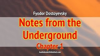 Notes from the Underground Audiobook Chapter 1 [upl. by Aileon]