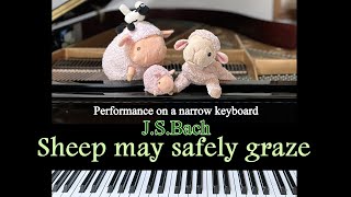 quotSheep may safely grazequot BWV 208  JSBach Playing on a narrowkey piano [upl. by Ahsemaj]