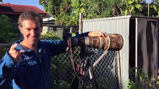 Backyard Birding with Luke Paterson  Striated Pardalote [upl. by Den]